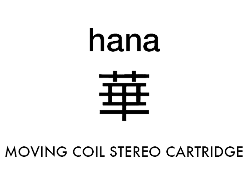 Hana logo