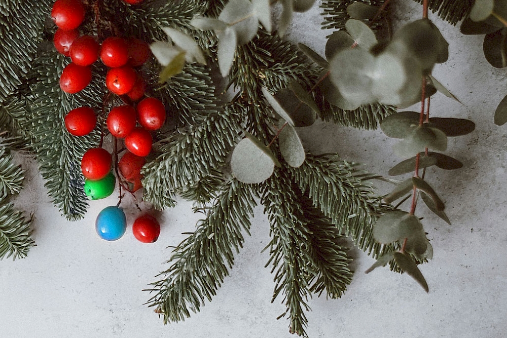 Seasons Greetings - Blog Image